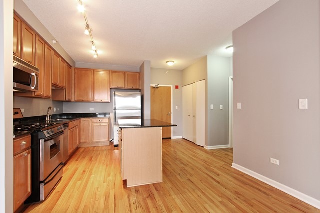 1717 South Prairie Avenue, Unit 709 Chicago, IL 60616 - Photo 6 of 12
