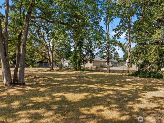 a view of a trees in a yard