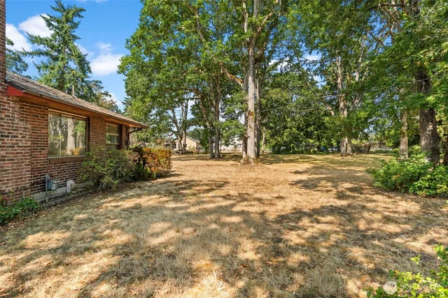 a backyard of a house with large trees and outdoor seating
