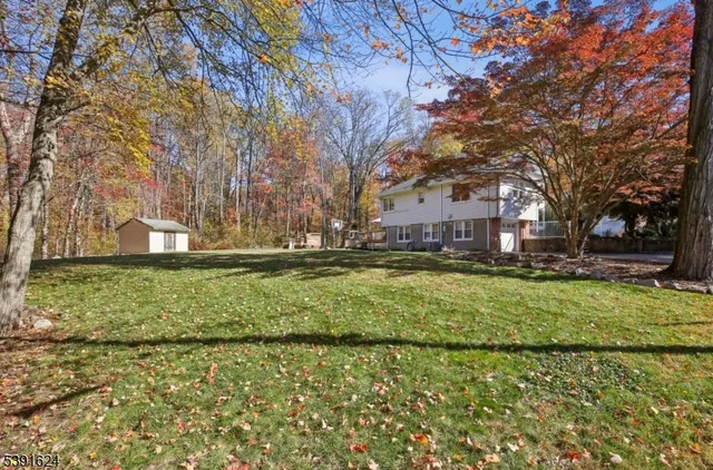 a view of yard with tree