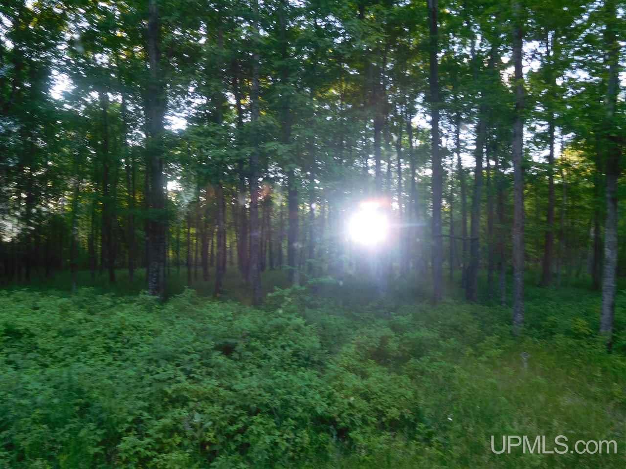 N11095 Schultz Road Felch, MI 49831 - Photo 7 of 9