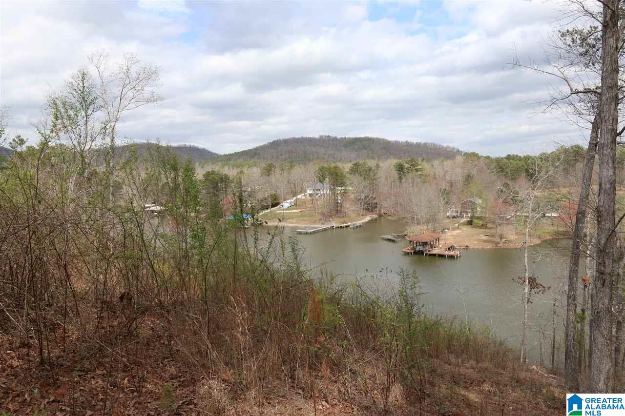 0 Sagebrush Road, Unit 13 Ashville, AL 35953 - Photo 6 of 10