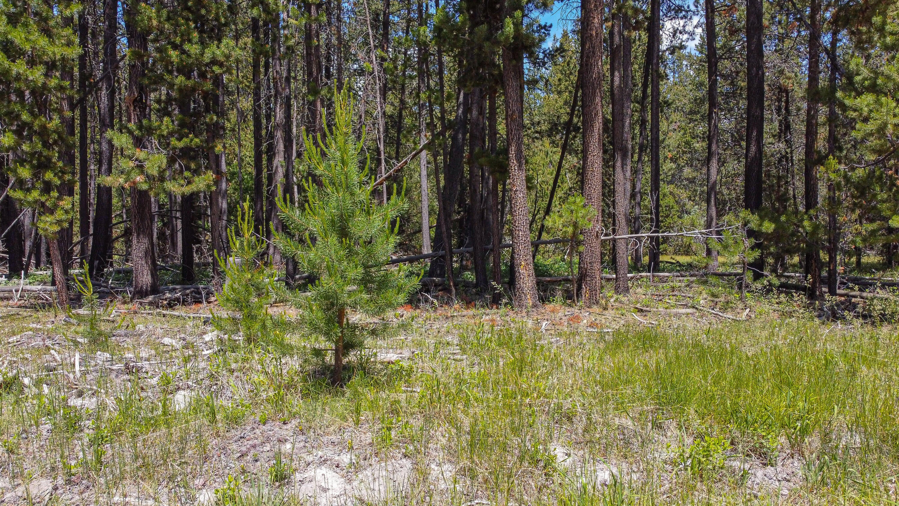 16944 Glendale Road Bend, OR 97707 - Photo 8 of 13 16944 Glendale-09