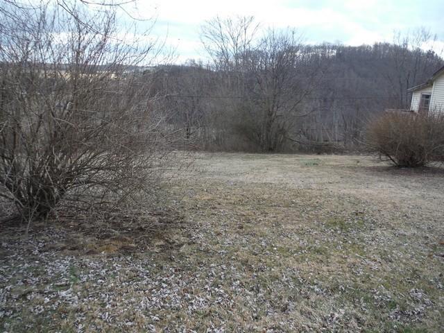 6187 Parrott Mountain Road Parrott, VA 24132 - Photo 20 of 132 open-uri20190205-19699-1lcnaoa