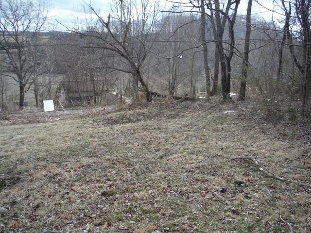 6187 Parrott Mountain Road Parrott, VA 24132 - Photo 21 of 132 open-uri20190205-19699-1lnqaje