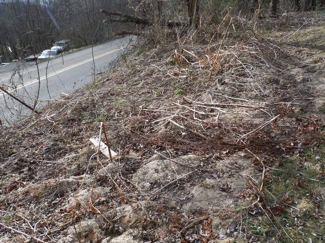 6187 Parrott Mountain Road Parrott, VA 24132 - Photo 41 of 132 open-uri20190205-19699-1utibln