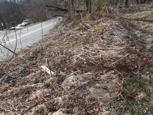 6187 Parrott Mountain Road Parrott, VA 24132 - Photo 75 of 132 open-uri20190205-19699-106893w