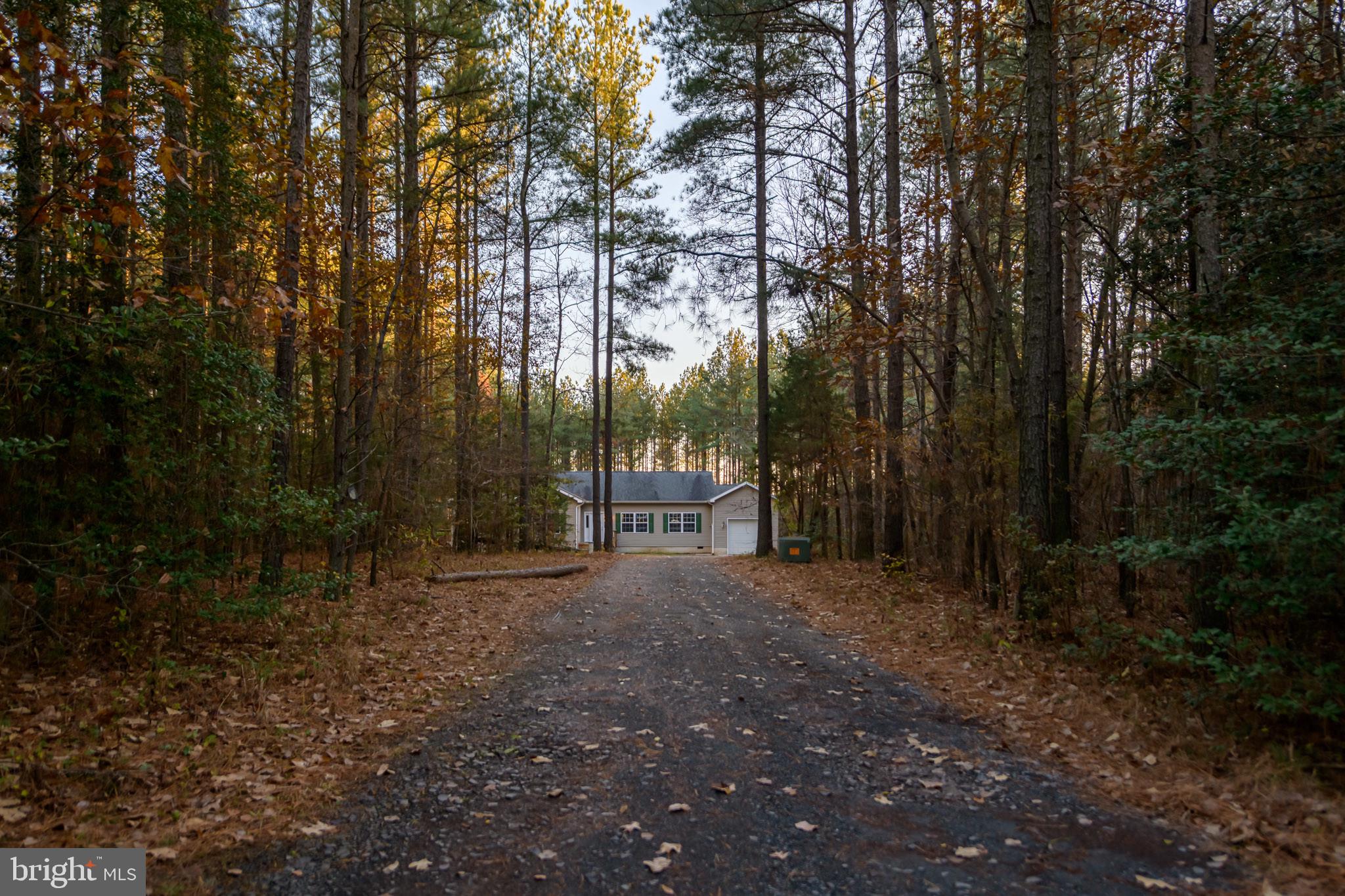 11409 Robins Ridge Road Unionville, VA 22567 - Photo 12 of 12 Country roads, take me home...