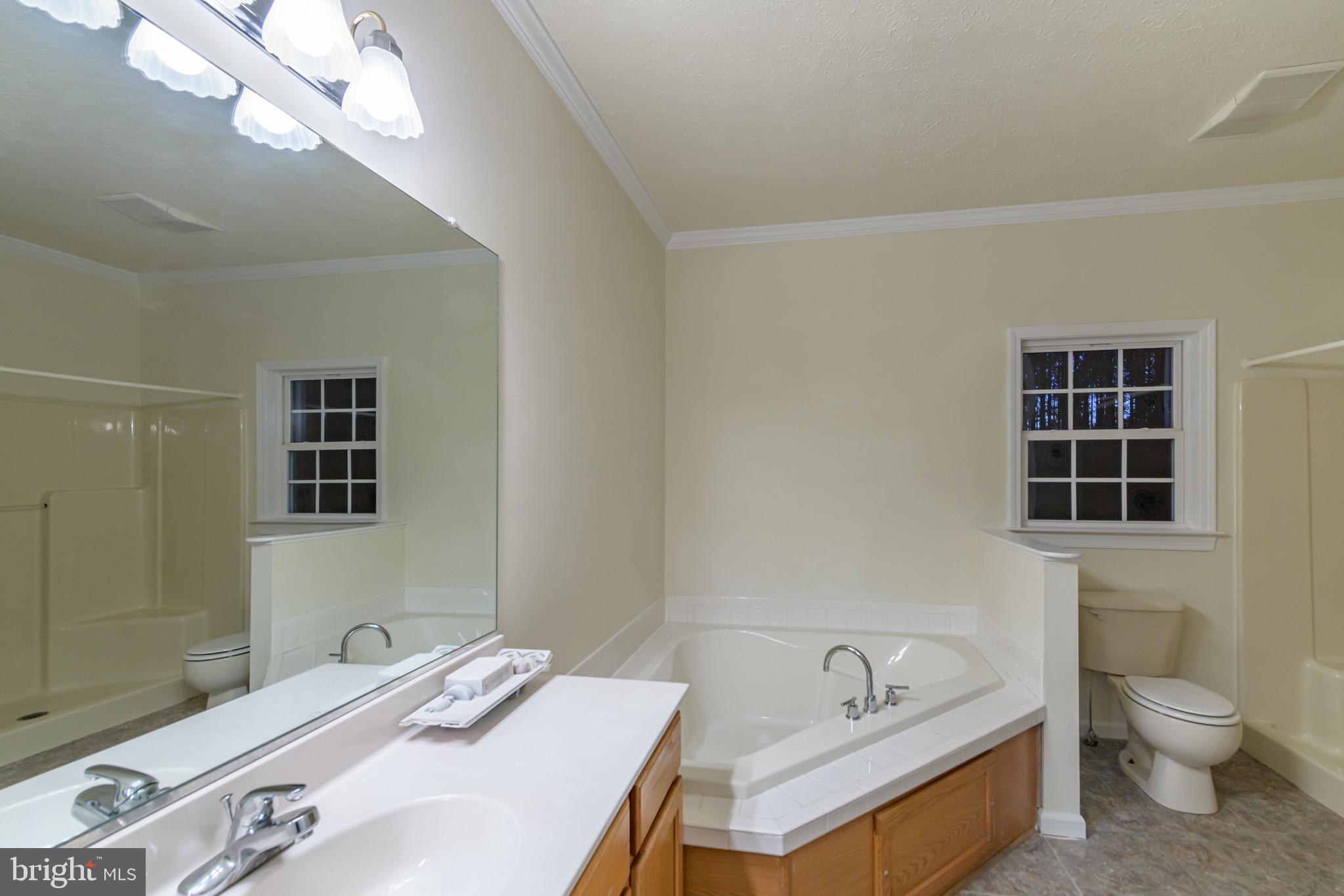 11409 Robins Ridge Road Unionville, VA 22567 - Photo 9 of 12 Master bath with corner soaking tub