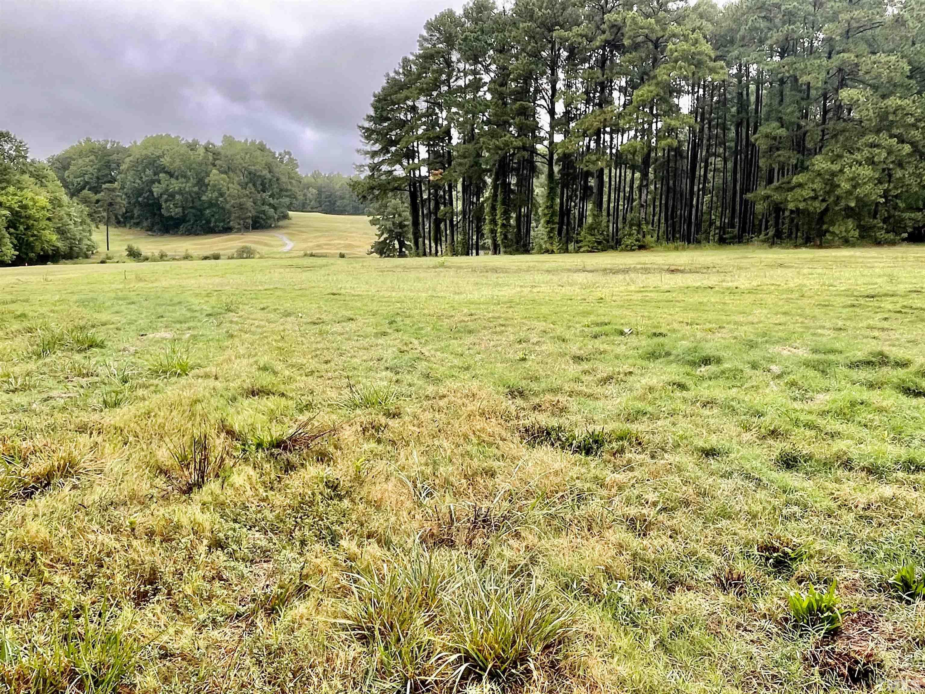 Lot 9 Chub Lake Road Roxboro, NC 27574 - Photo 3 of 9 a view of a yard with a trees