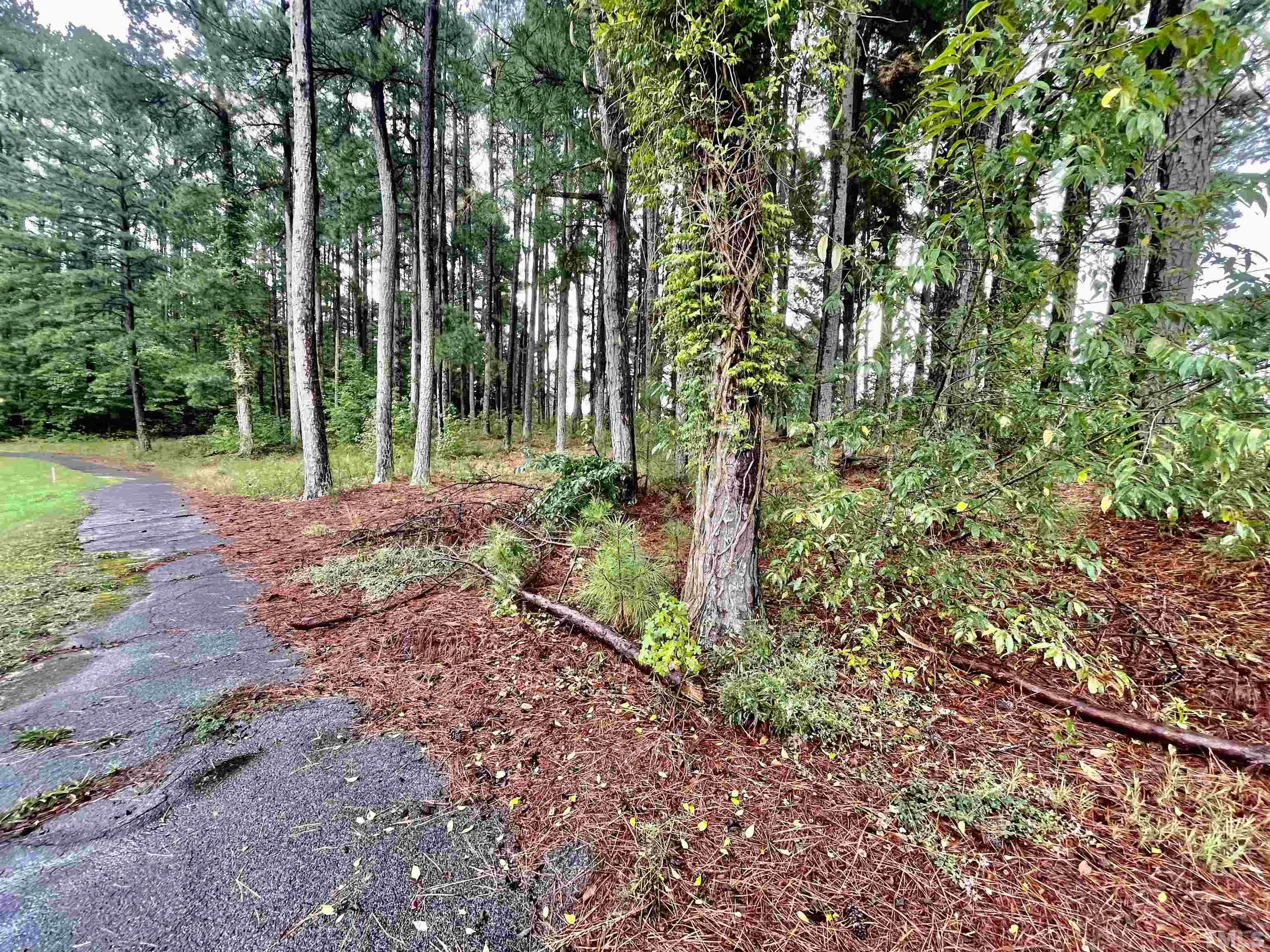 Lot 9 Chub Lake Road Roxboro, NC 27574 - Photo 4 of 9 a backyard of a house with lots of green space