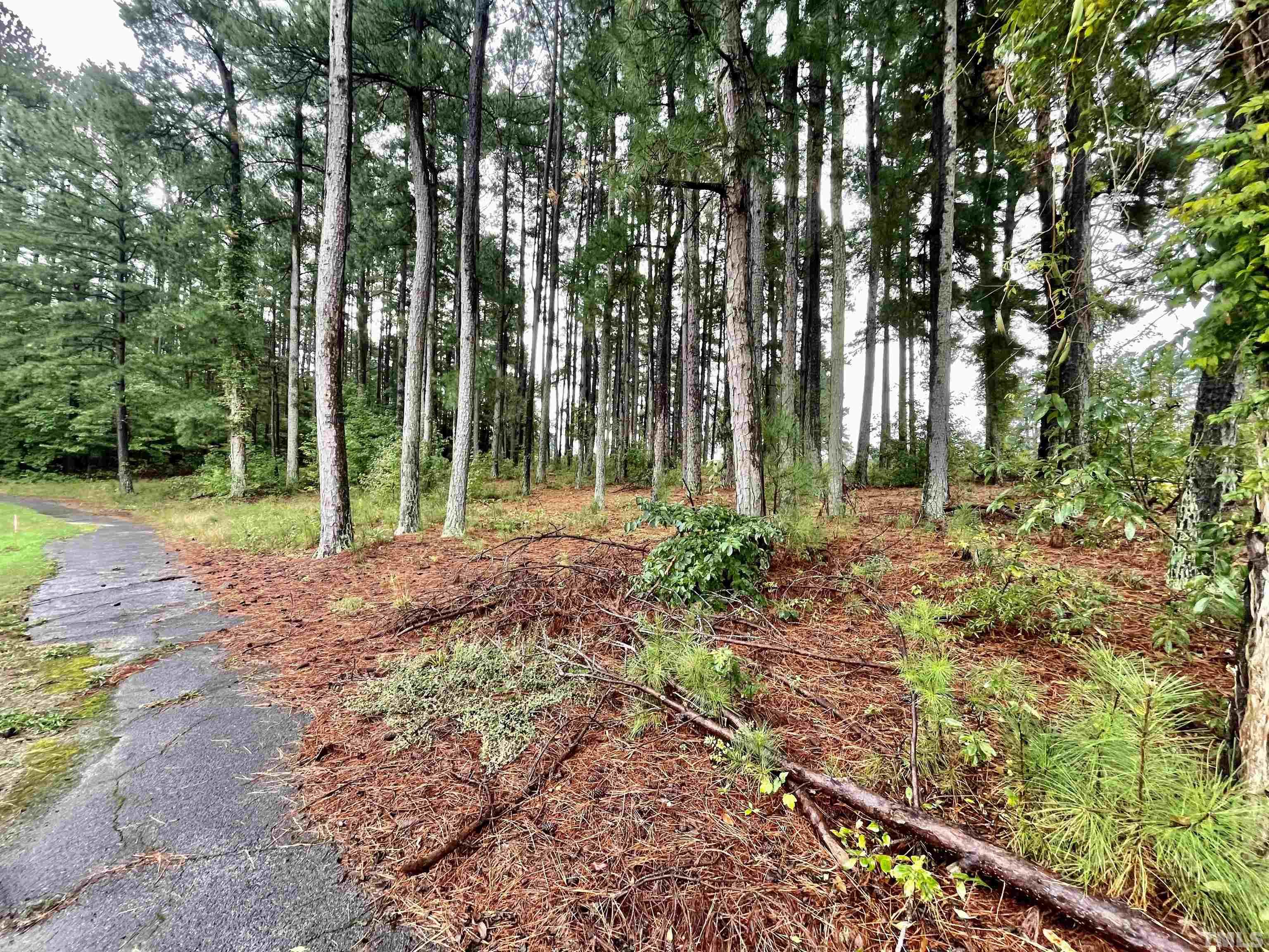 Lot 9 Chub Lake Road Roxboro, NC 27574 - Photo 5 of 9 a backyard of a house with lots of green space and trees