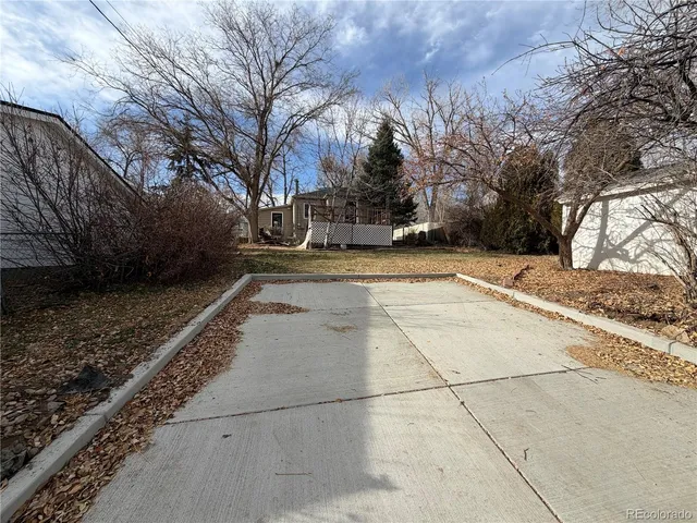 a view of a yard with a large trees