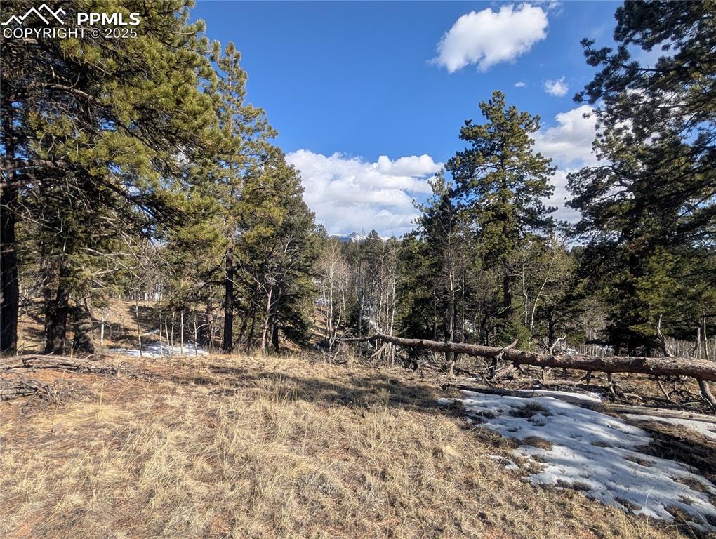 56 Rampart Circle Florissant, CO 80816 - Photo 14 of 27