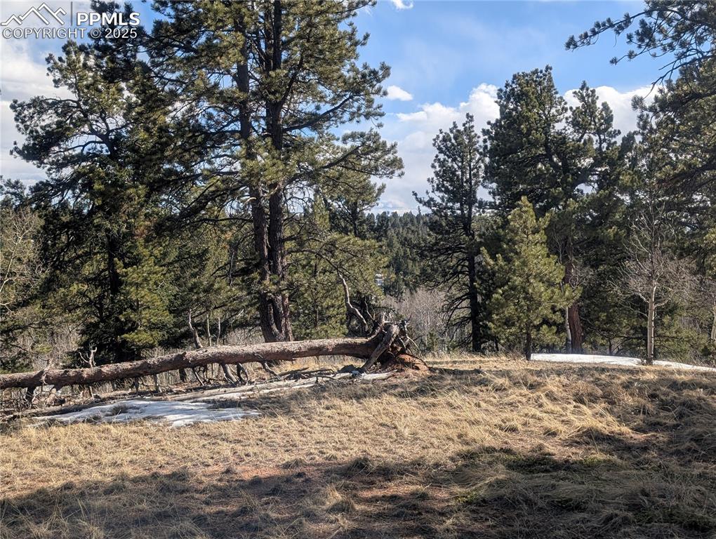 56 Rampart Circle Florissant, CO 80816 - Photo 16 of 27