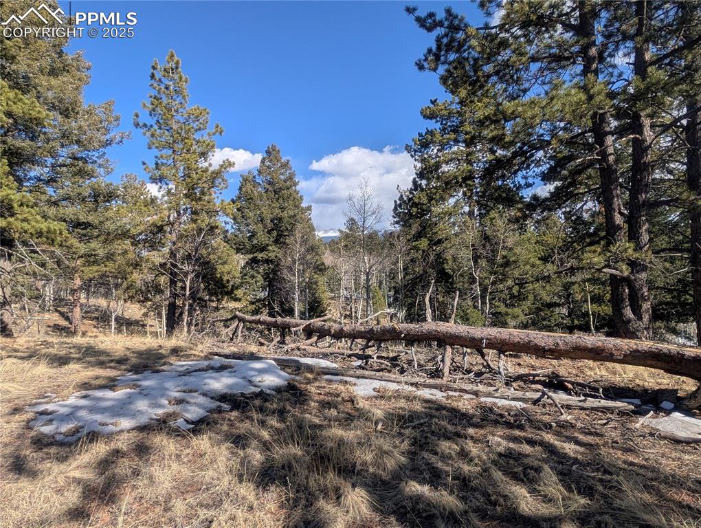 56 Rampart Circle Florissant, CO 80816 - Photo 18 of 27 Views to South of Sangre de Cristo Range