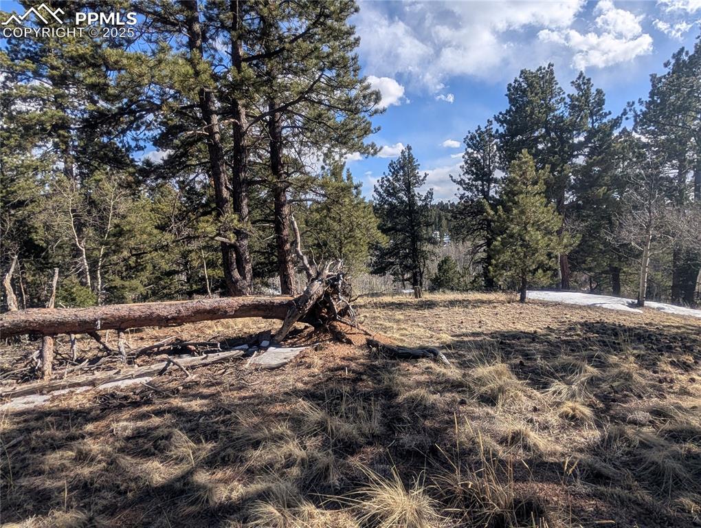 56 Rampart Circle Florissant, CO 80816 - Photo 20 of 27