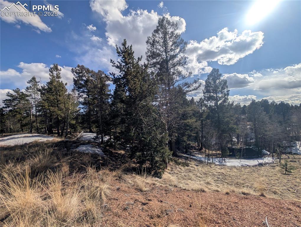 56 Rampart Circle Florissant, CO 80816 - Photo 2 of 27 Level usable lot for a perfect mountain home!!