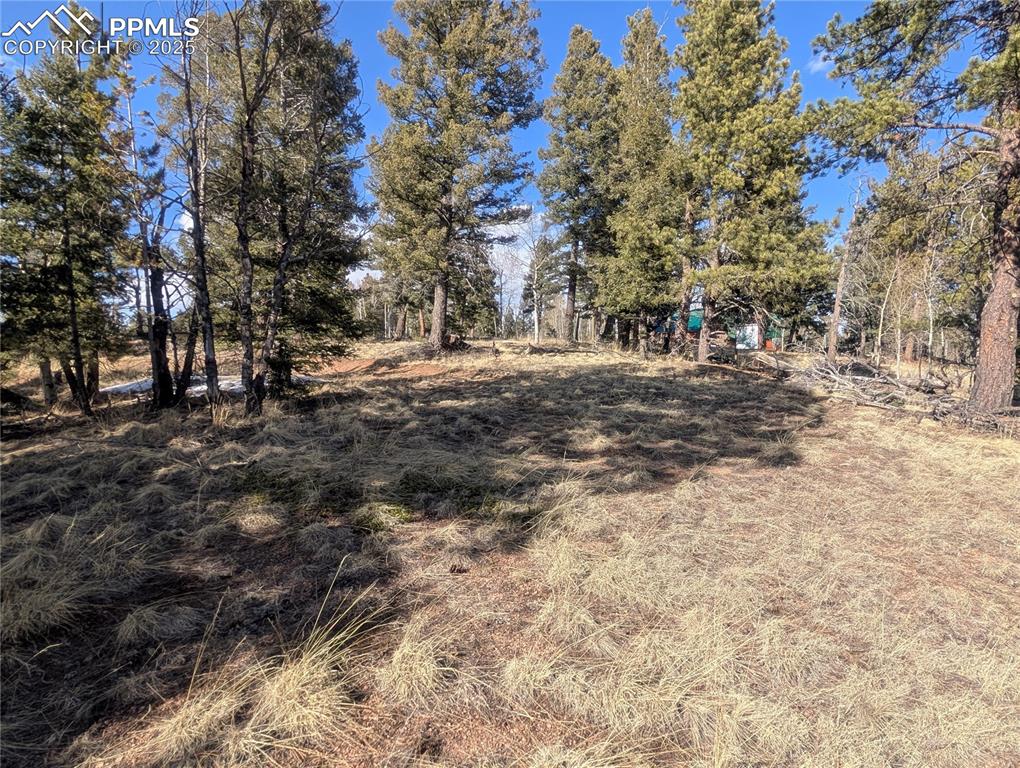 56 Rampart Circle Florissant, CO 80816 - Photo 21 of 27