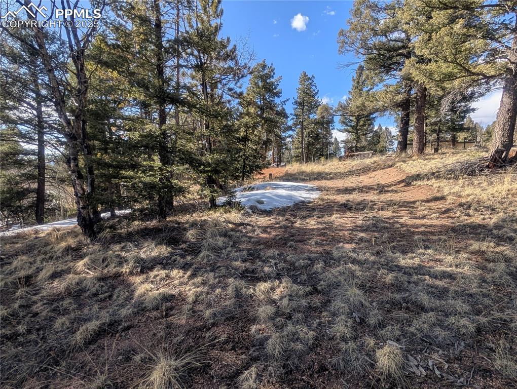 56 Rampart Circle Florissant, CO 80816 - Photo 22 of 27