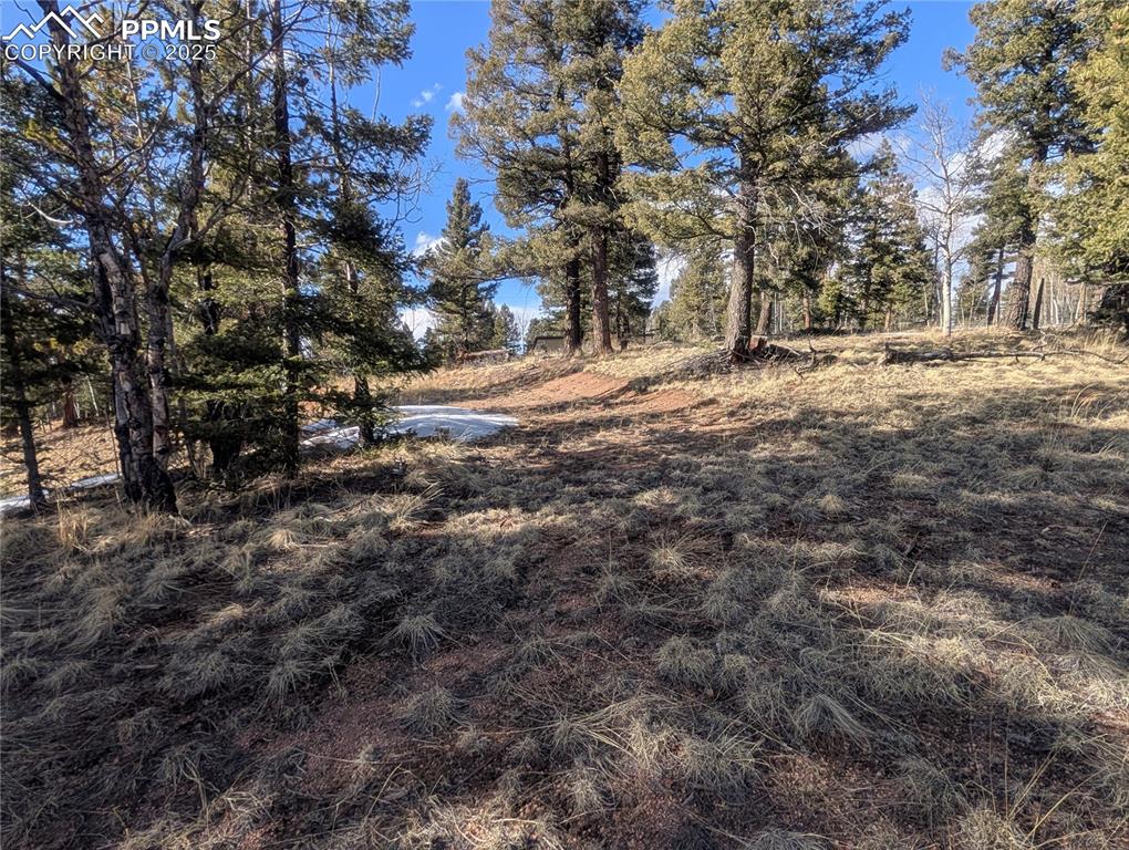 56 Rampart Circle Florissant, CO 80816 - Photo 23 of 27