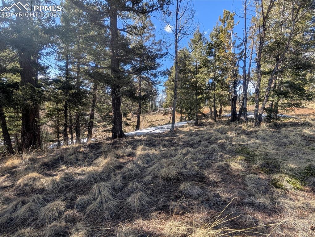 56 Rampart Circle Florissant, CO 80816 - Photo 24 of 27