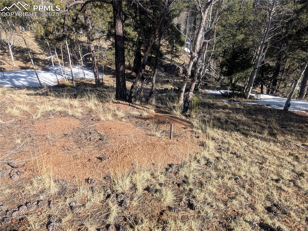 56 Rampart Circle Florissant, CO 80816 - Photo 25 of 27 Percolation test site