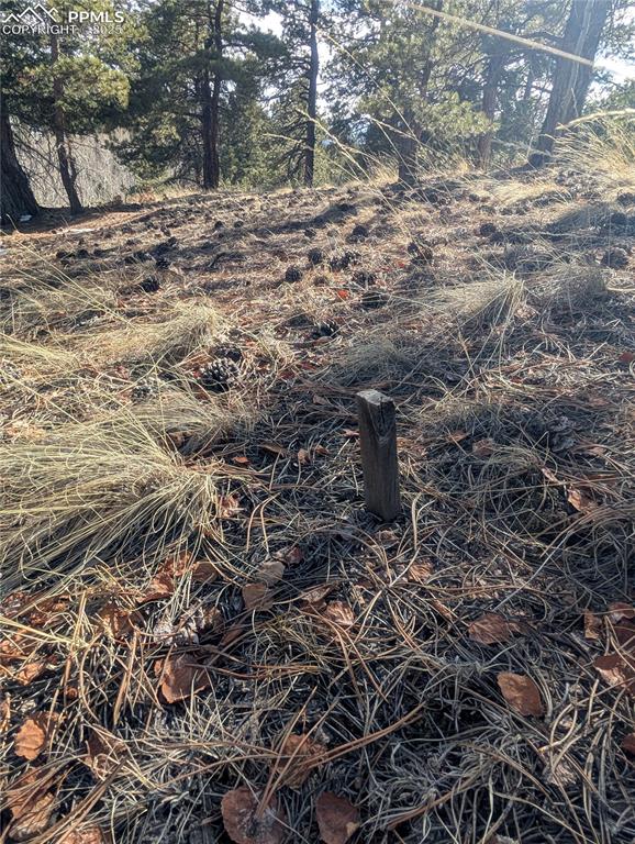 56 Rampart Circle Florissant, CO 80816 - Photo 26 of 27 Previous site stakes for residence