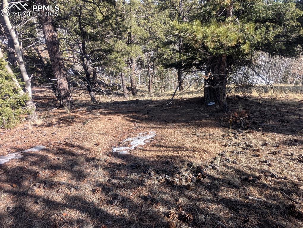 56 Rampart Circle Florissant, CO 80816 - Photo 27 of 27 Soils test site
