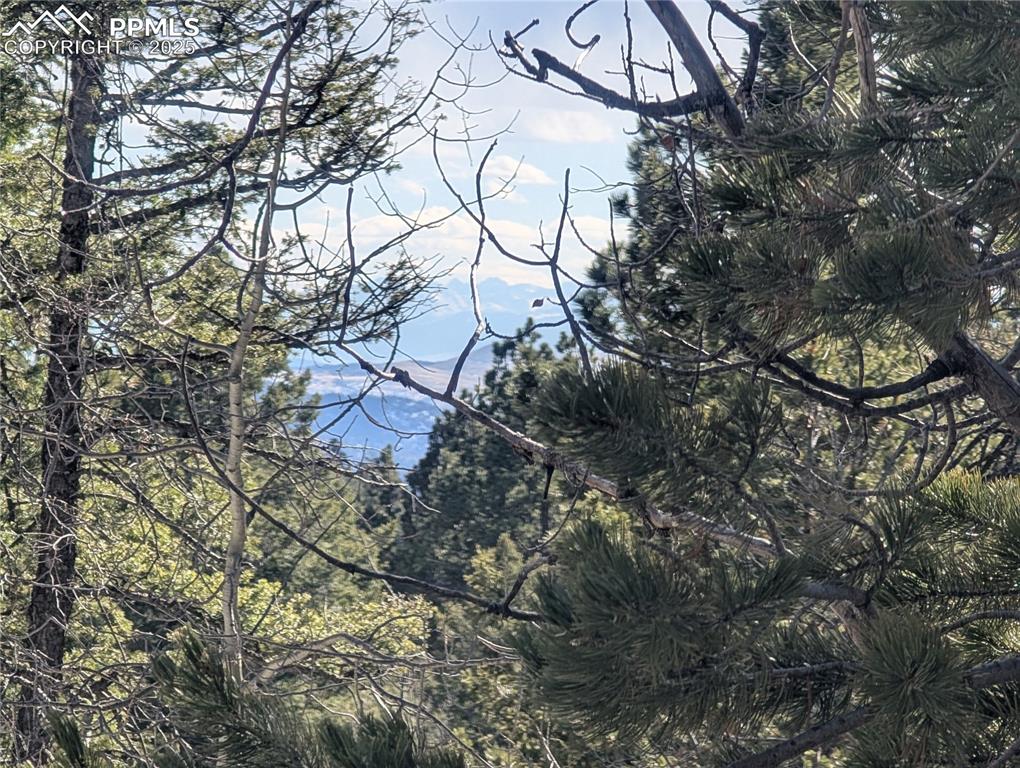 56 Rampart Circle Florissant, CO 80816 - Photo 6 of 27 Southern views of the Sangre de Cristo Mountain Range
