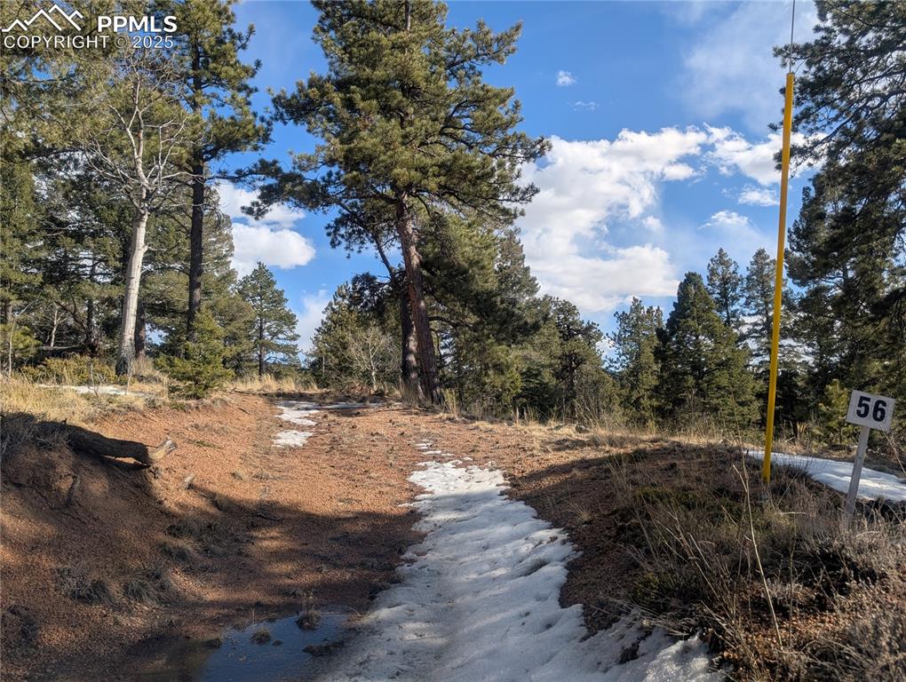 56 Rampart Circle Florissant, CO 80816 - Photo 7 of 27 Gentle driveway already cut into the lot!