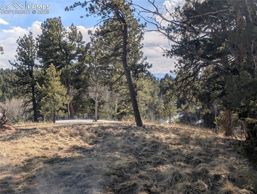 56 Rampart Circle Florissant, CO 80816 - Photo 10 of 27