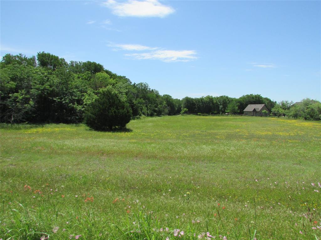 a view of grassy field with trees