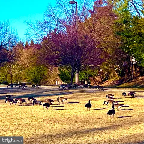 $400,000 | 6086 Essex House Square, Unit B, Alexandria, VA 22310