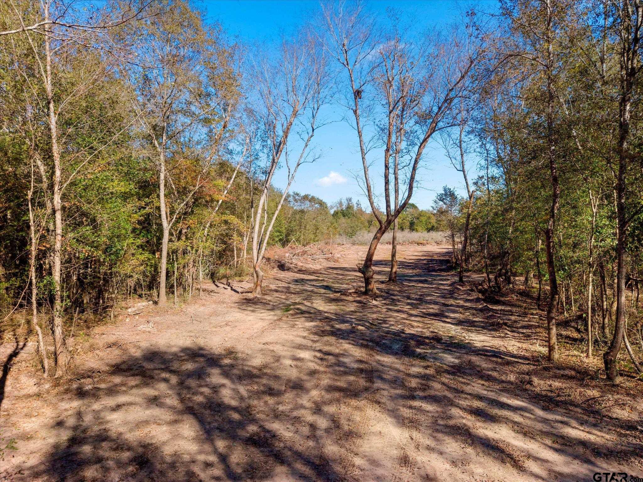 Tbd Woodchuck Road Leesburg, TX 75451 - Photo 18 of 34 Gallery Image 18