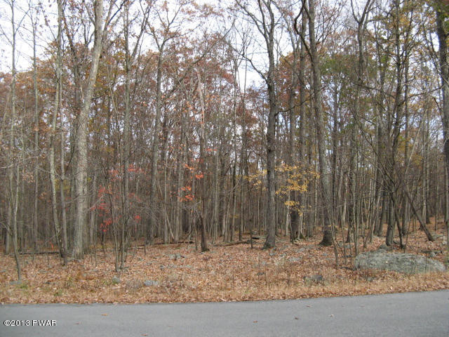 Robin Way Lackawaxen, PA 18435 - Photo 7 of 23
