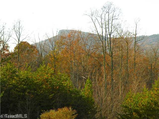 1488 Harris Road Walnut Cove, NC 27052 - Photo 15 of 16 View. Mountain View