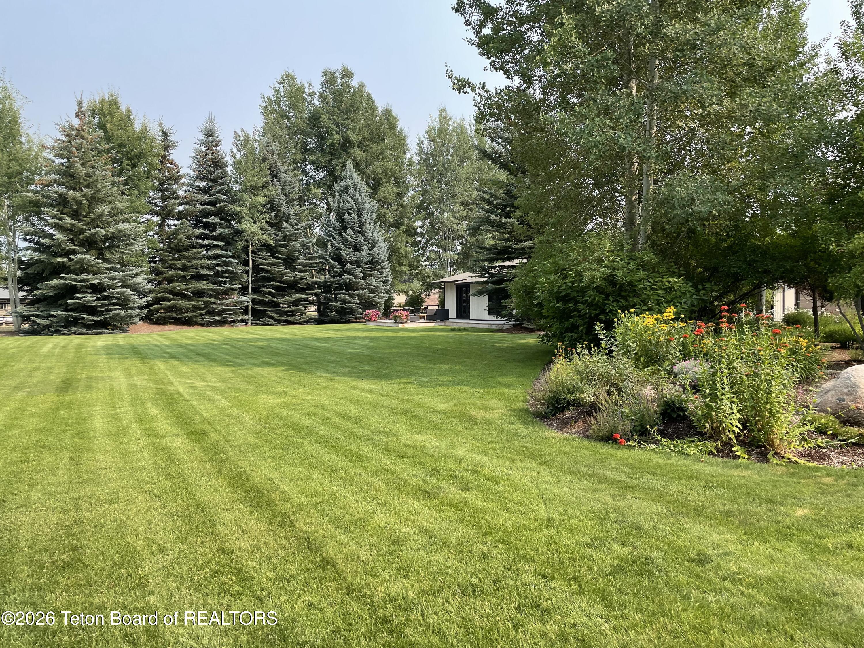 3650 North Meadow Road Jackson, WY 83001 - Photo 2 of 35 North lawn