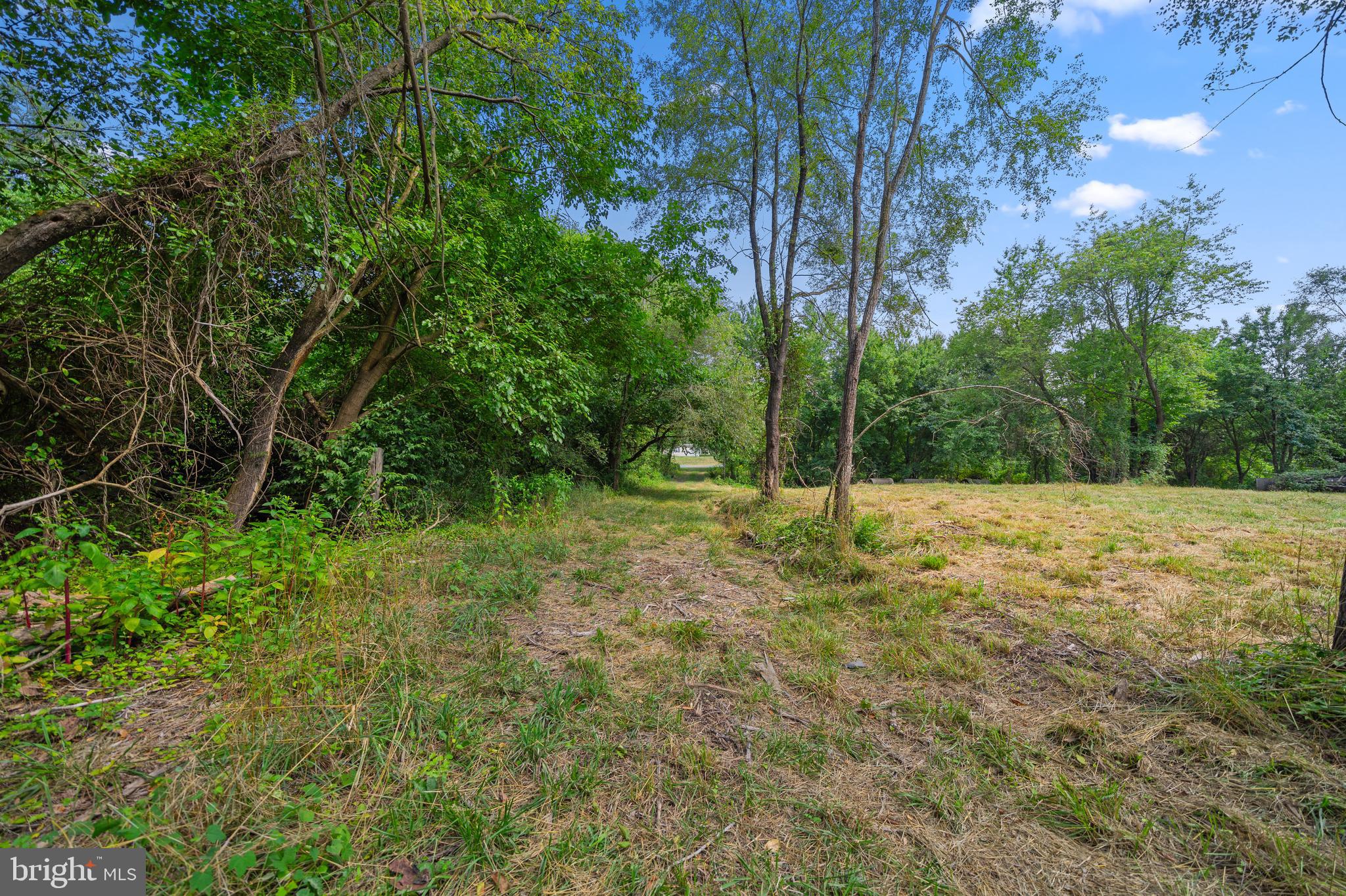 4591 Little Mastens Corner Road Felton, DE 19943 - Photo 11 of 22 Open space and driveway