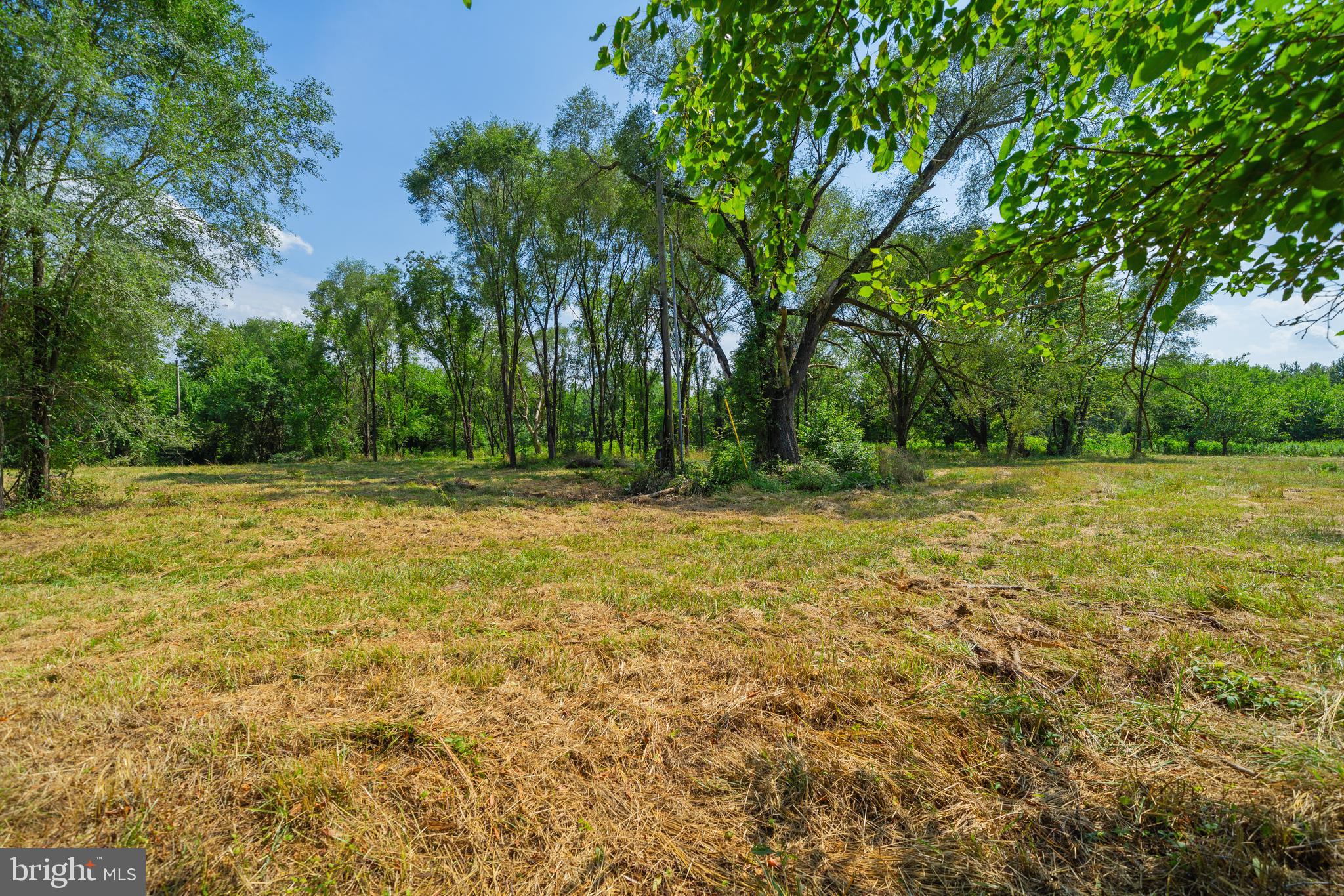 4591 Little Mastens Corner Road Felton, DE 19943 - Photo 12 of 22 open space and homesite