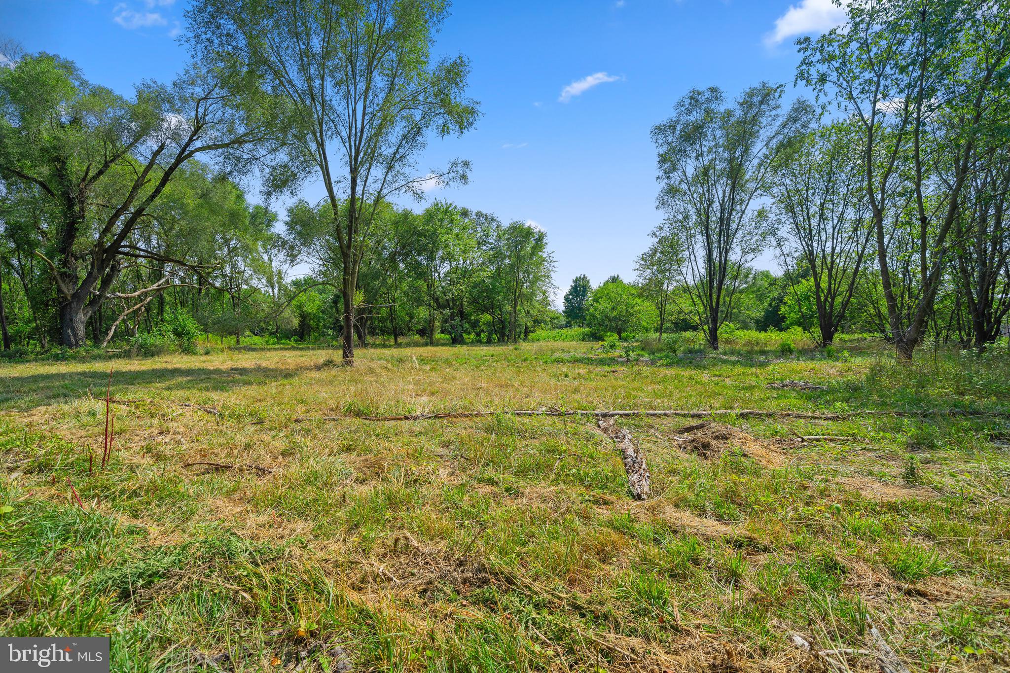4591 Little Mastens Corner Road Felton, DE 19943 - Photo 13 of 22 open space and homesite