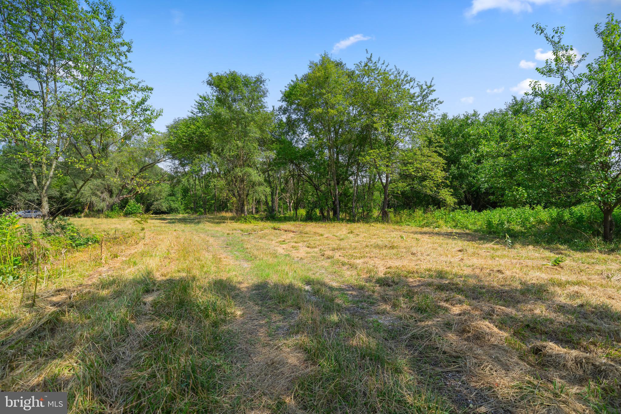4591 Little Mastens Corner Road Felton, DE 19943 - Photo 14 of 22 open space and homesite