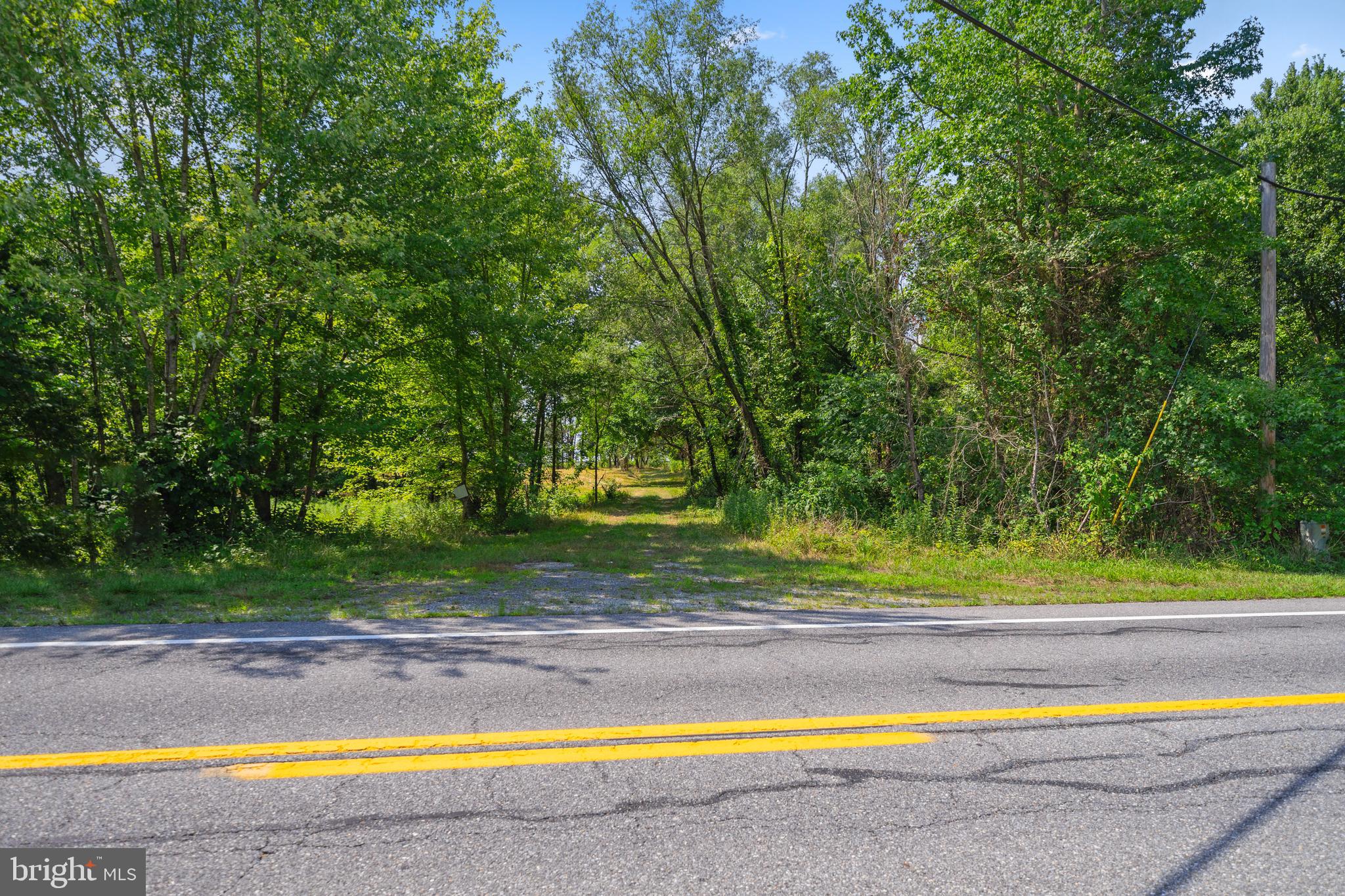 4591 Little Mastens Corner Road Felton, DE 19943 - Photo 5 of 22 Driveway to homesite