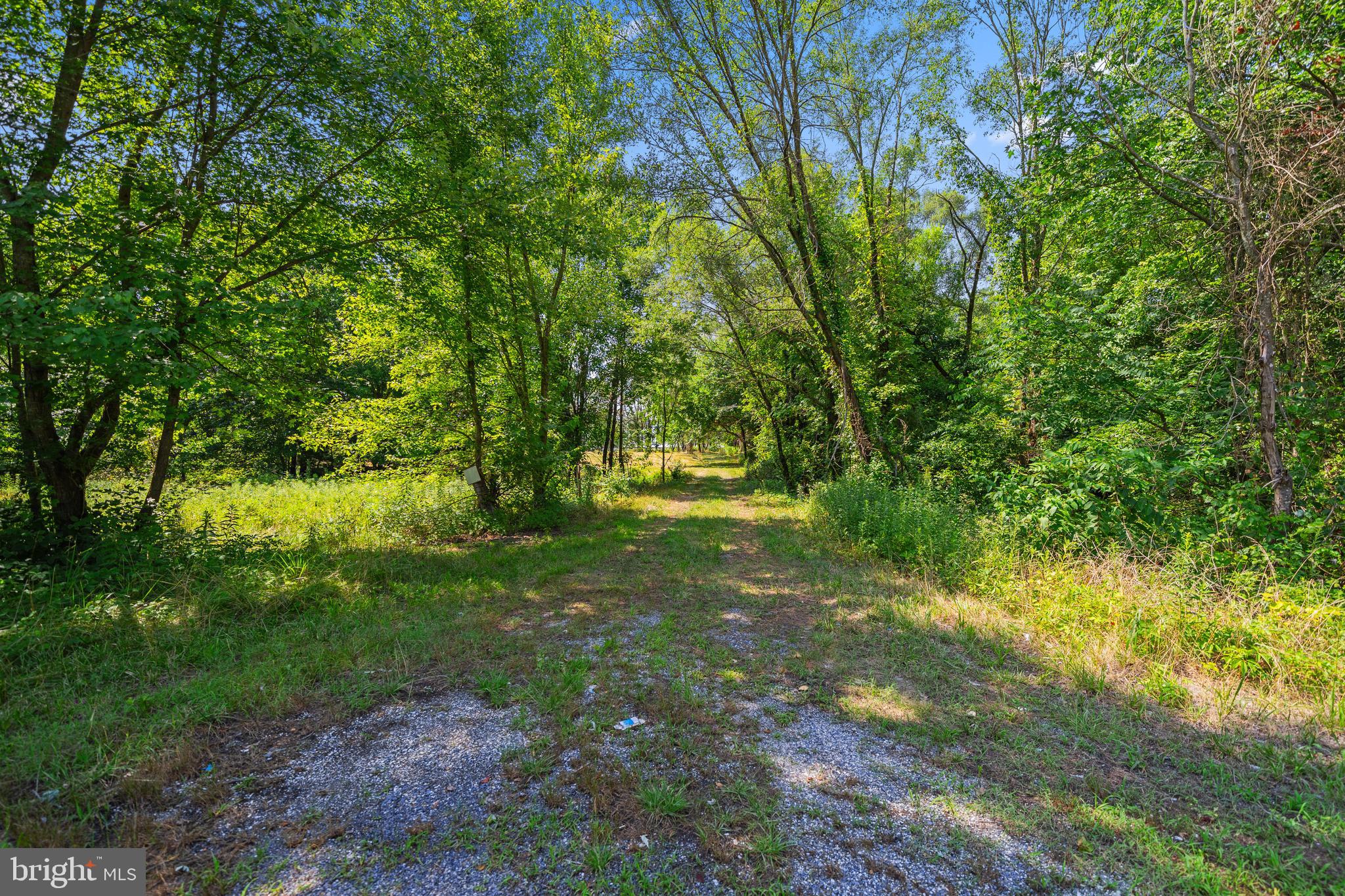 4591 Little Mastens Corner Road Felton, DE 19943 - Photo 7 of 22 Driveway