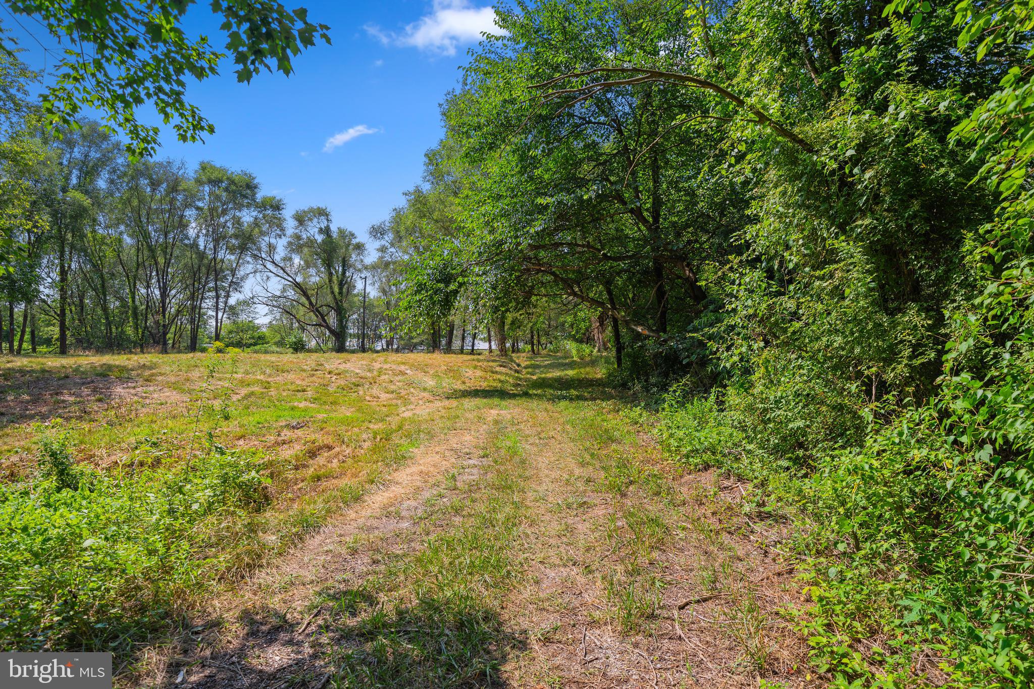 4591 Little Mastens Corner Road Felton, DE 19943 - Photo 8 of 22 Homesite