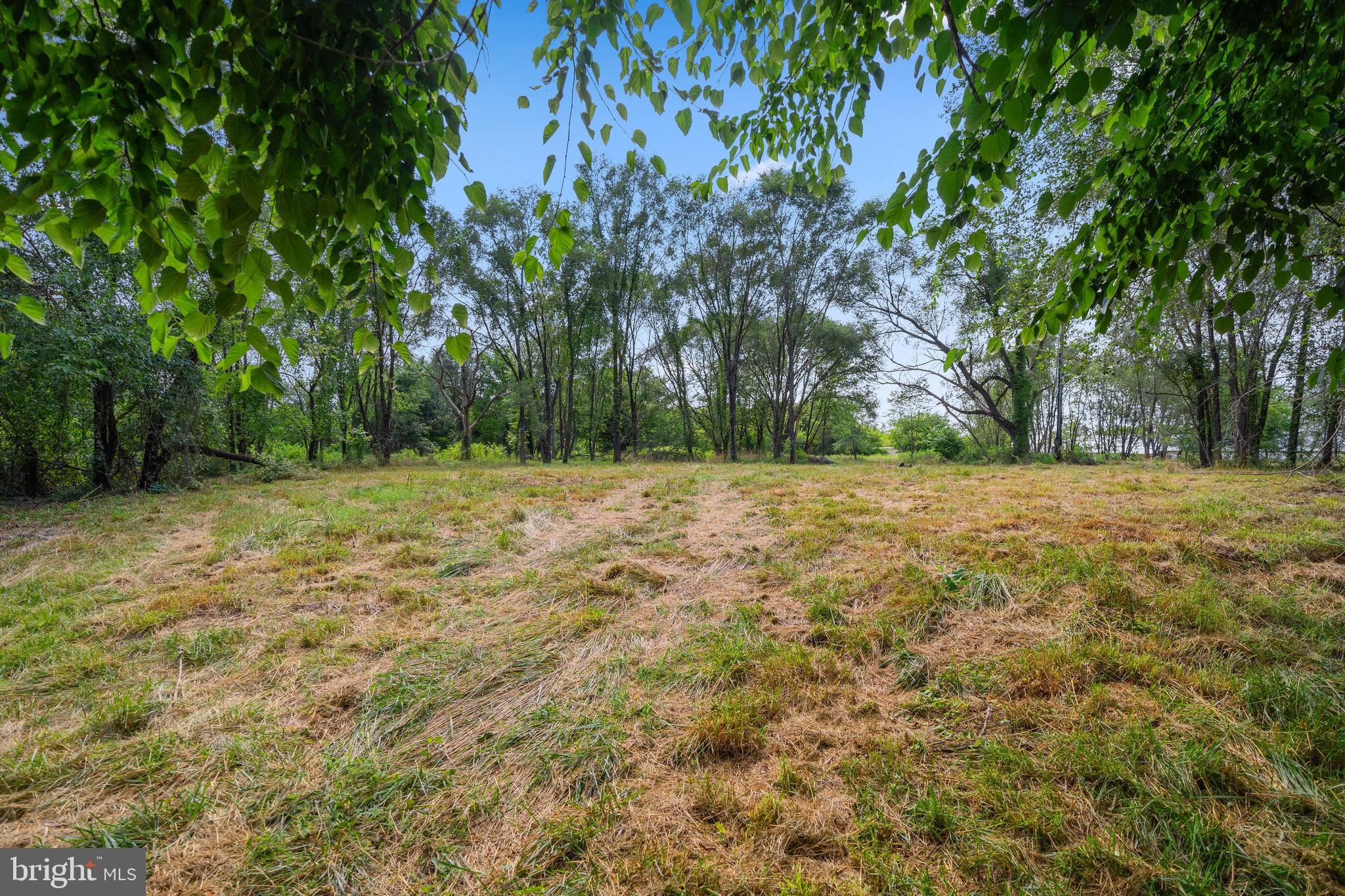 4591 Little Mastens Corner Road Felton, DE 19943 - Photo 9 of 22 Open space