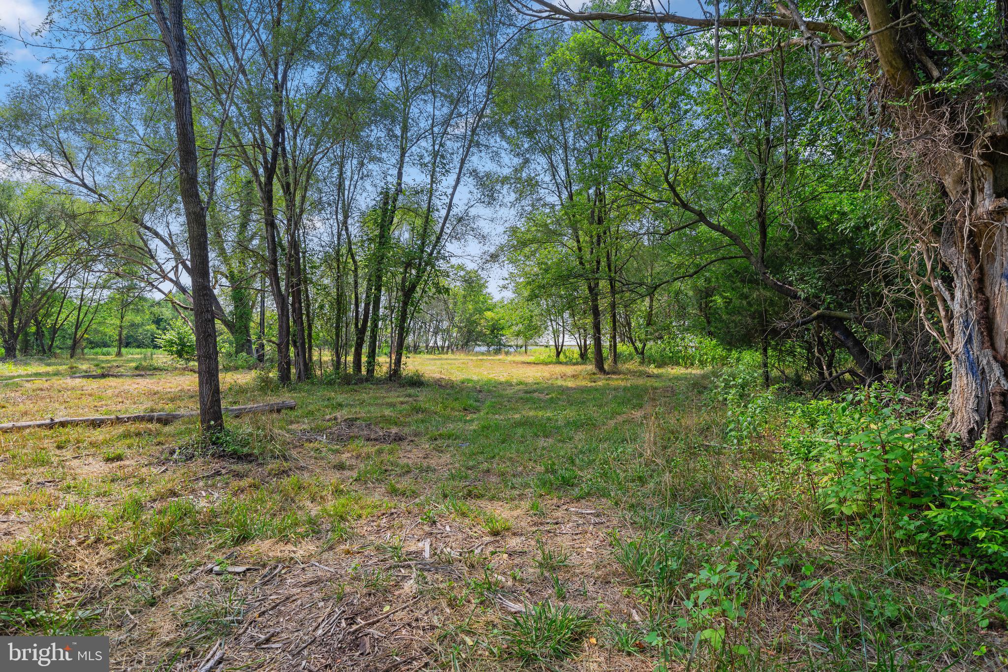 4591 Little Mastens Corner Road Felton, DE 19943 - Photo 10 of 22 Driveway