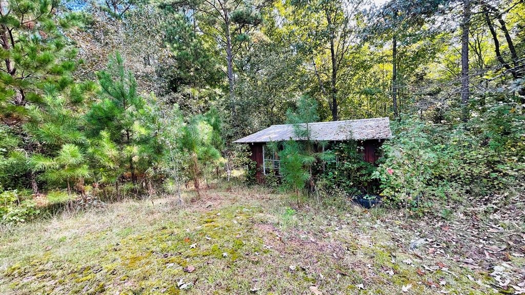 186 Freeley Road Donalds, SC 29638 - Photo 35 of 58