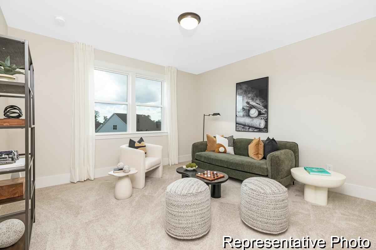 415 Myers Mayo Road, Unit 33 Ridgeville, SC 29472 - Photo 29 of 37 EWH 833 Bedford 3150 TD2 EO (32)-33REP