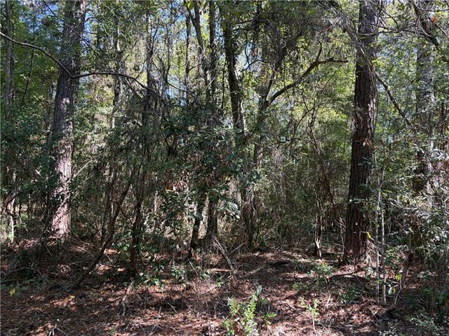 0 Rayford Shumock Road Moss Point, MS 39562 - Photo 18 of 40 Gallery Image 18